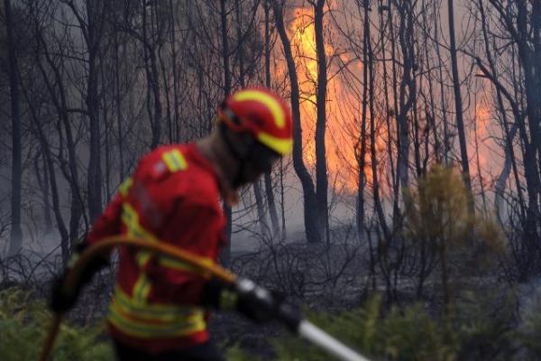 Bombeiro português a apagar um fogo próximo de Figueiró dos Vinhos