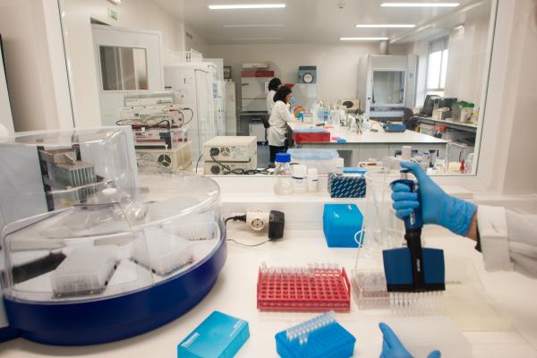 ciência / laboratório /investigação /Instituto Nacional de Investigação e Agrária Veterinária Lisboa